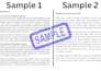 provide professional academic research and writing support
